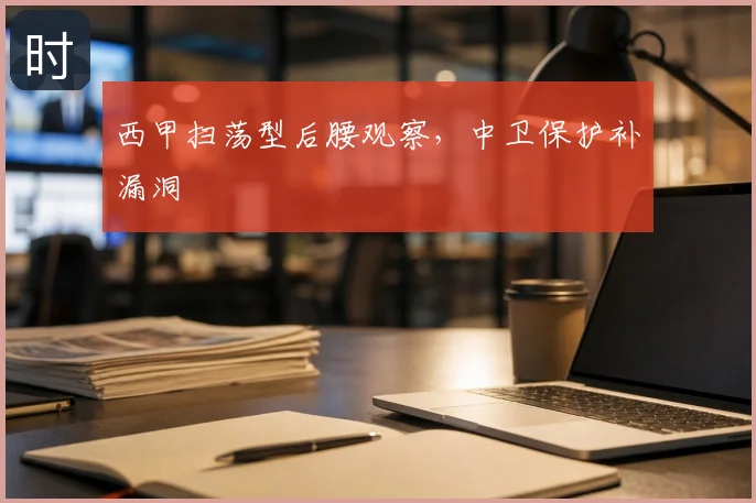 西甲扫荡型后腰观察，中卫保护补漏洞